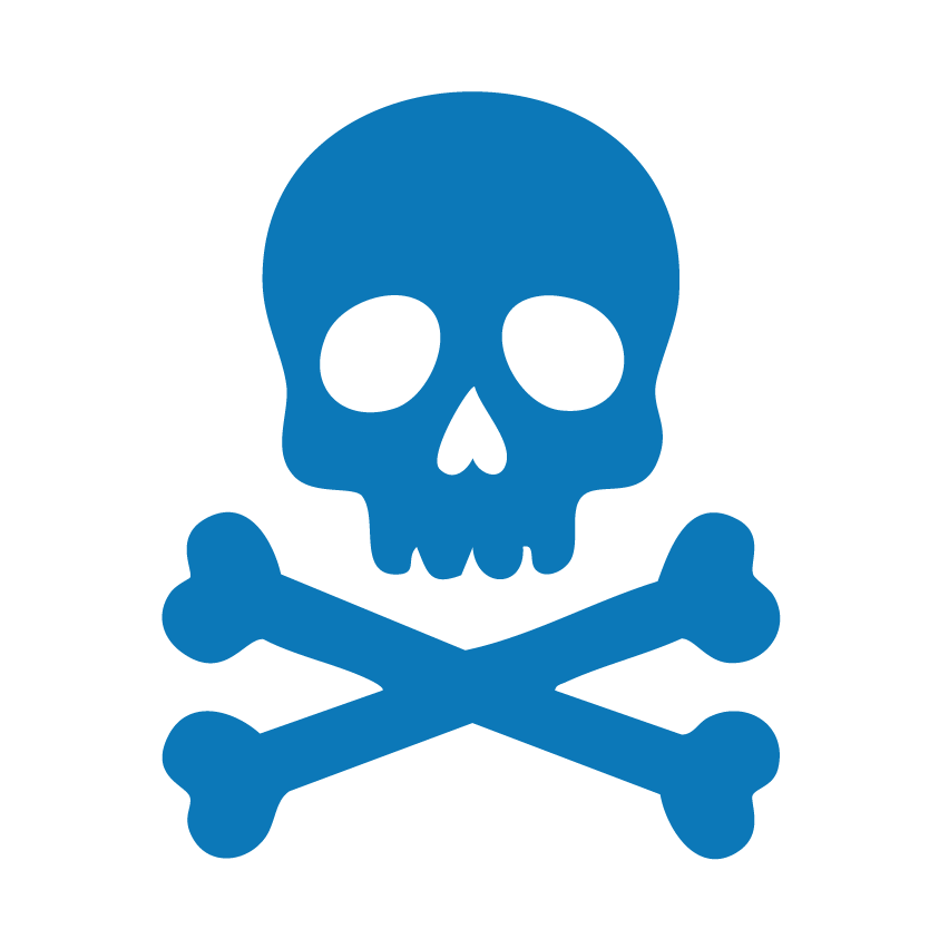 Harbor-Tours-Branding-45
